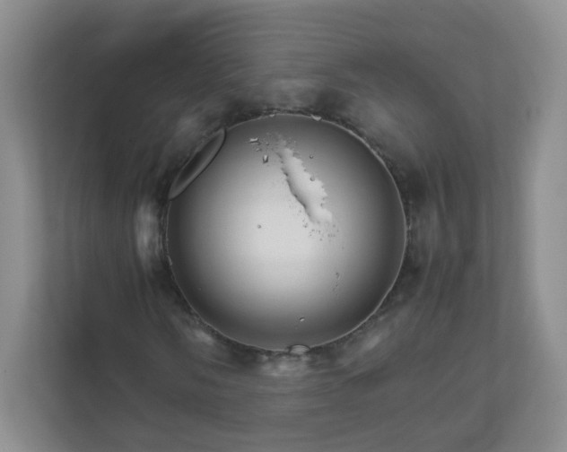 X0000111681058200907241228