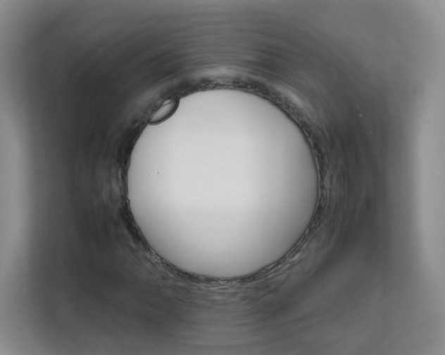 X0000111681062200907241228