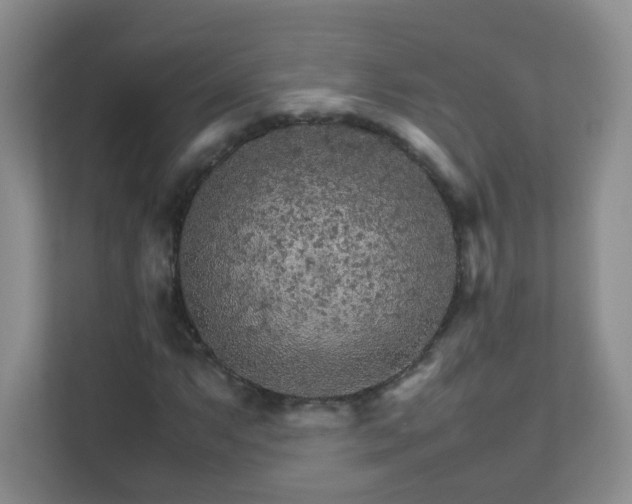 X0000111681063200907241228