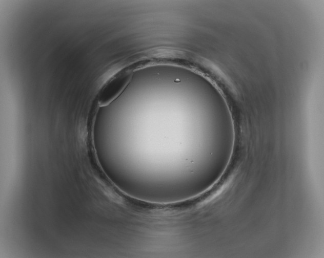 X0000111681065200907241228