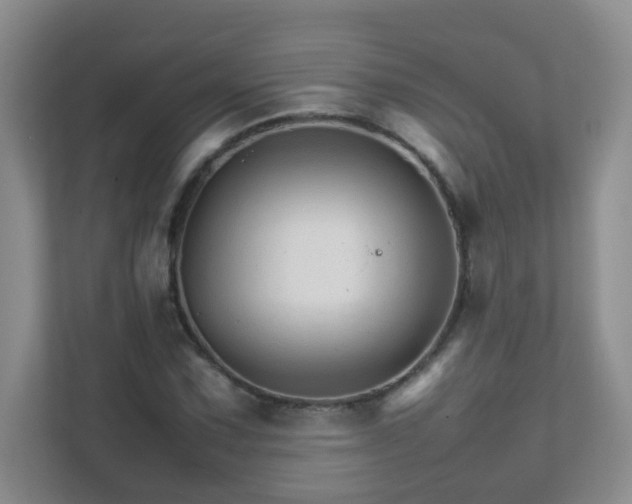 X0000111681067200907241228