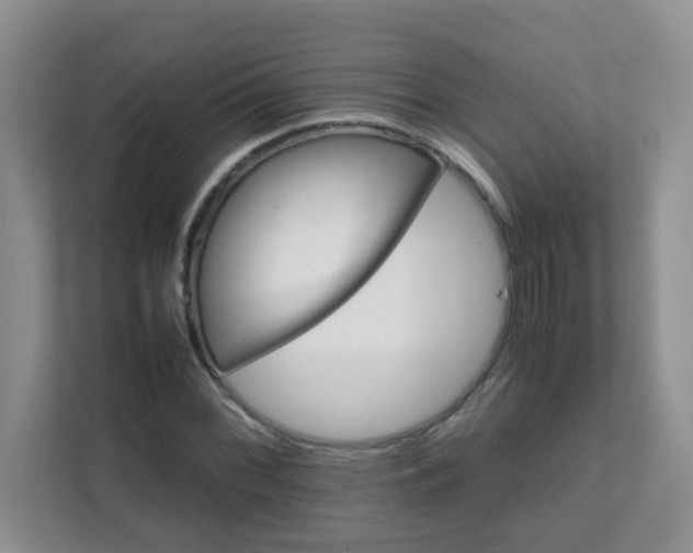 X0000111681068200907241228