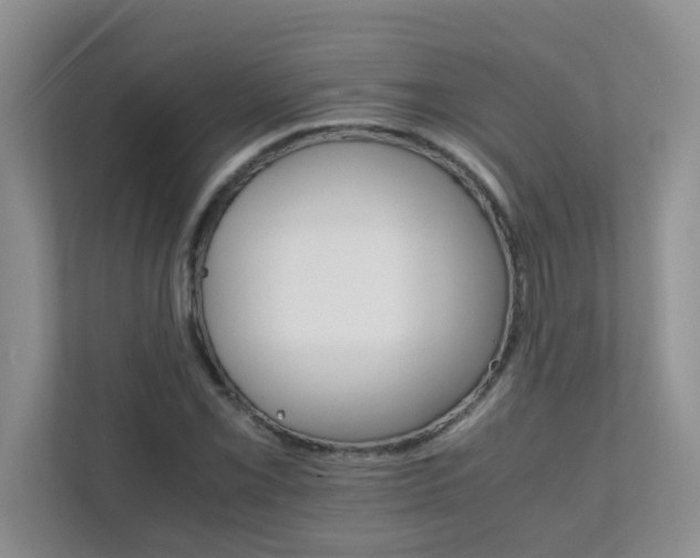 X0000111681069200907241228