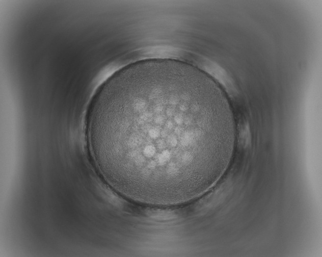 X0000111681071200907241228