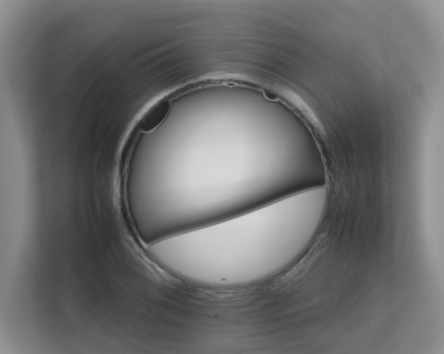 X0000111681076200907241228