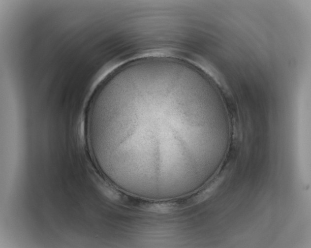 X0000111681078200907241228