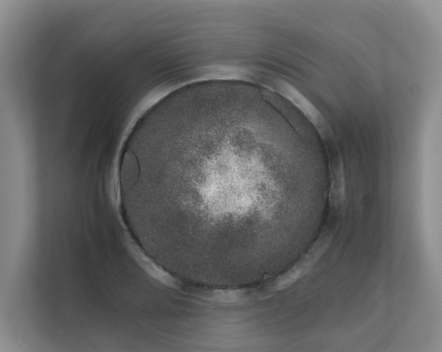 X0000111681080200907241228