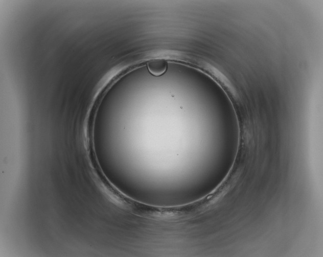 X0000111681082200907241228