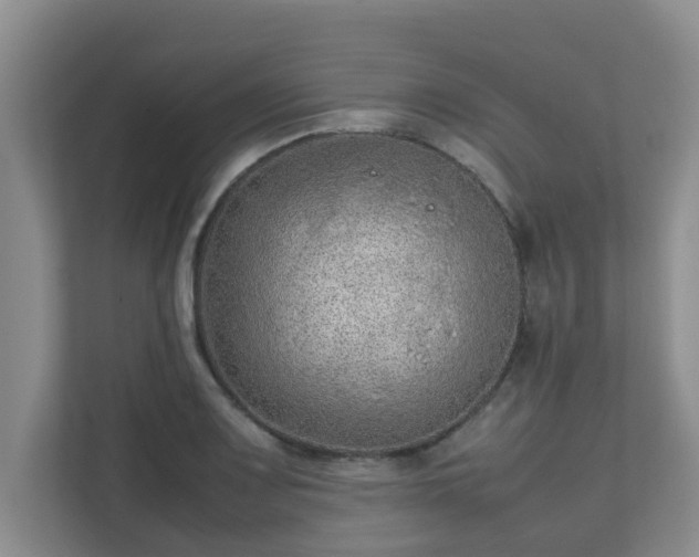 X0000111681083200907241228