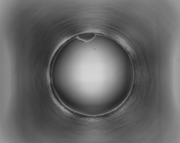 X0000111681084200907241228