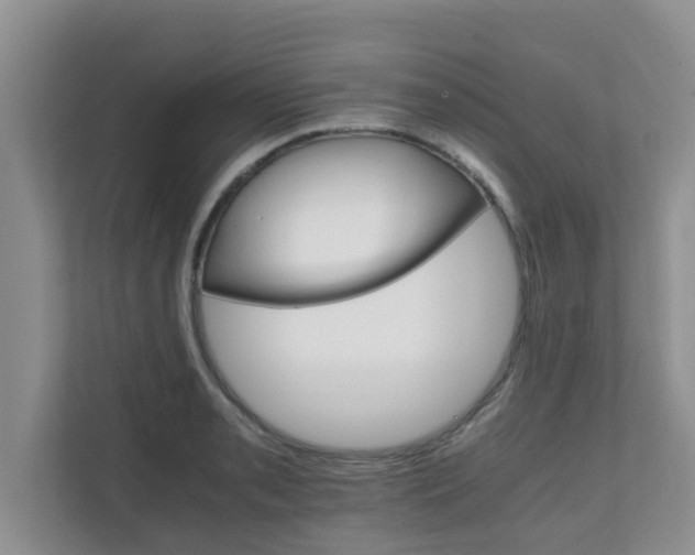 X0000111681085200907241228