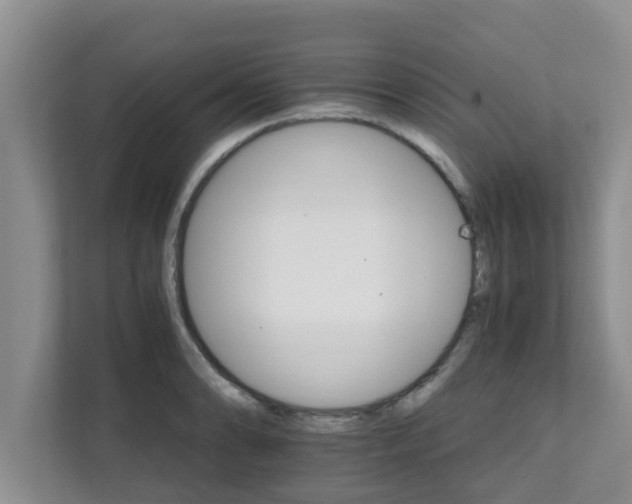 X0000111681086200907241228