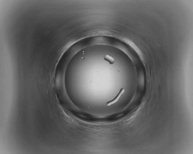 X0000111681089200907241228