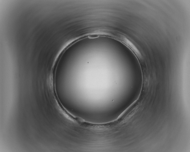 X0000111681092200907241228