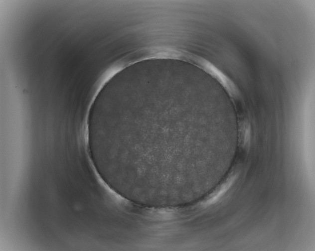 X0000111681095200907241228