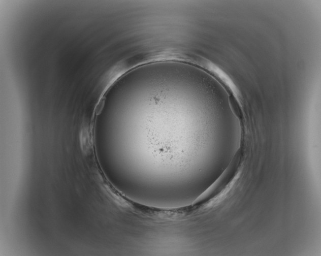 X0000111681097200907241228