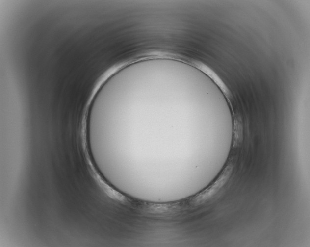 X0000111681098200907241228