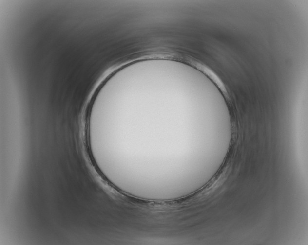 X0000111681099200907241228