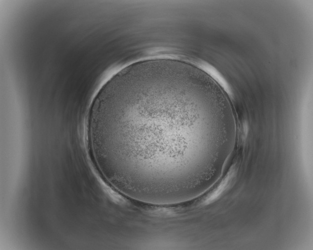 X0000111681101200907241228