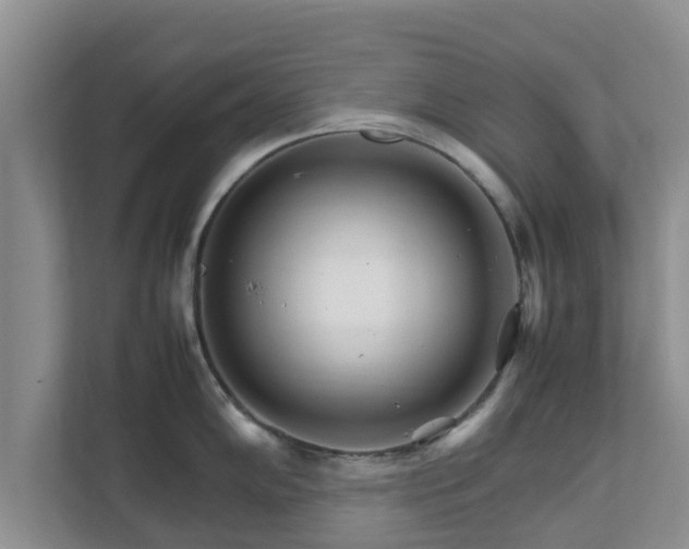 X0000111681102200907241228