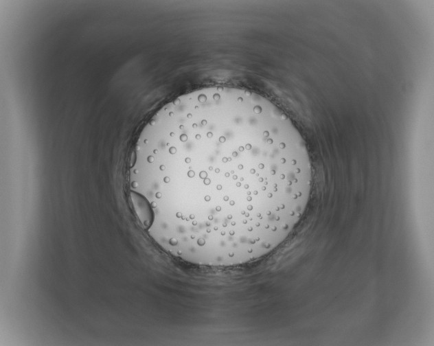 X0000111681105200907241227