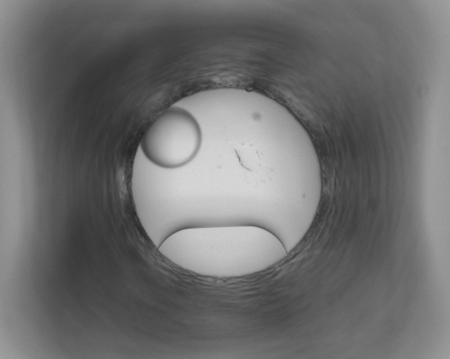 X0000111681106200907241227