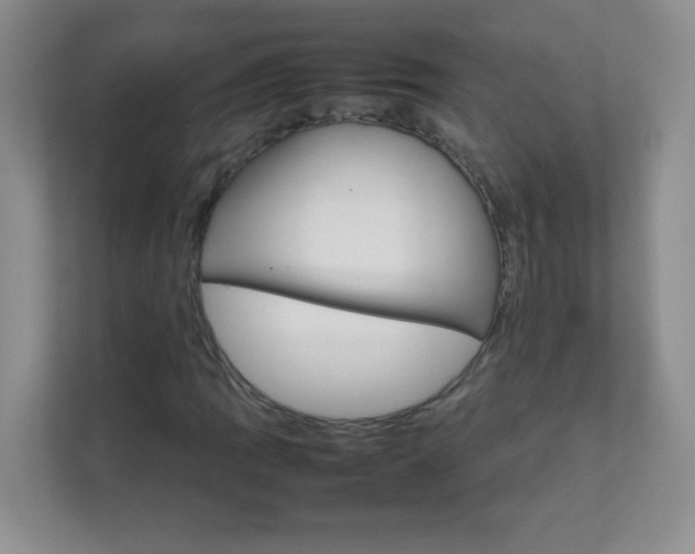 X0000111681109200907241227