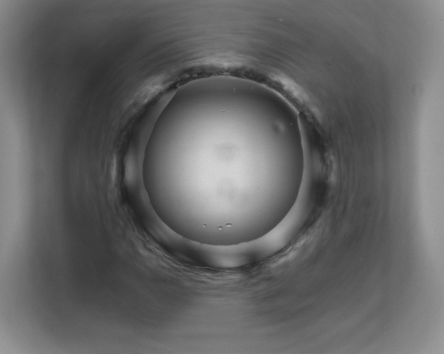 X0000111681110200907241227