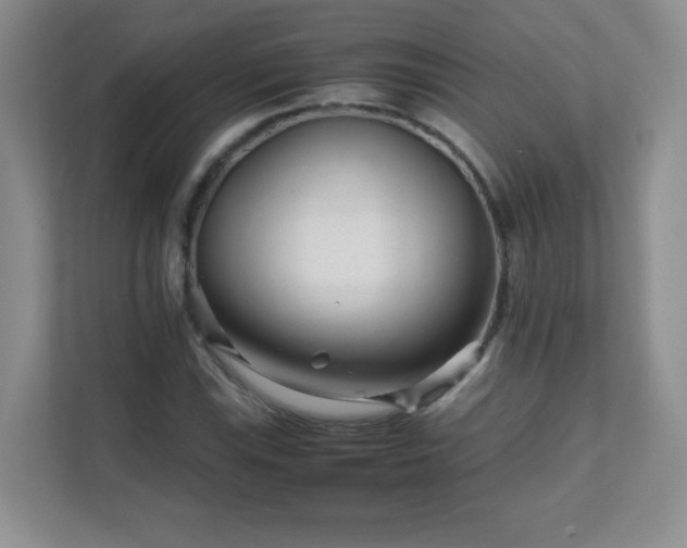 X0000111681115200907241227