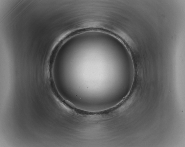 X0000111681118200907241227