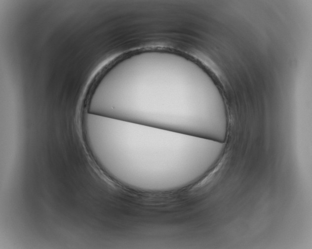 X0000111681119200907241227