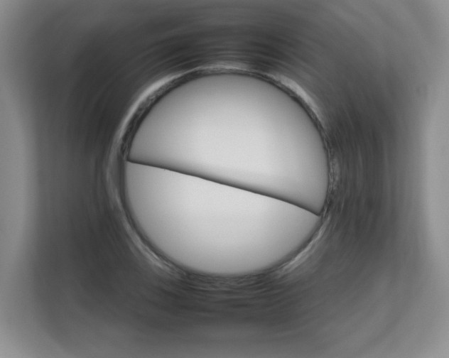 X0000111681123200907241227