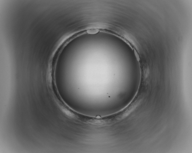 X0000111681124200907241227