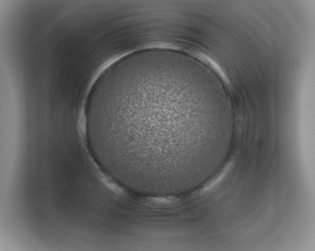 X0000111681125200907241227