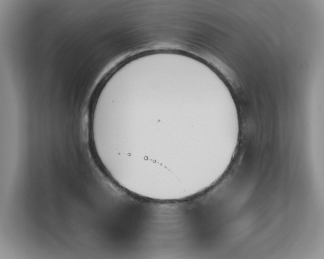 X0000111681126200907241227