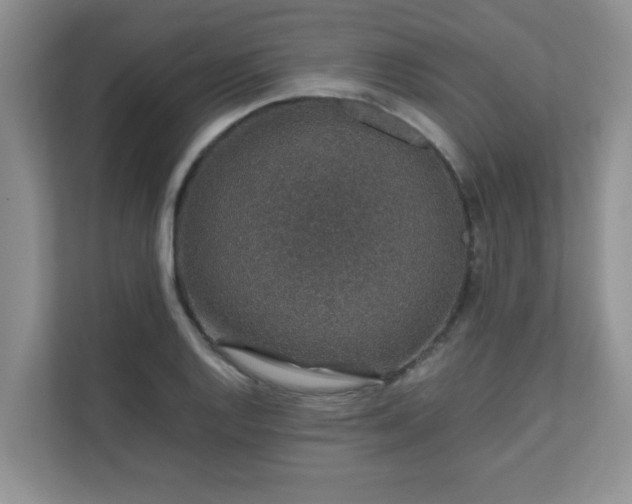 X0000111681128200907241227