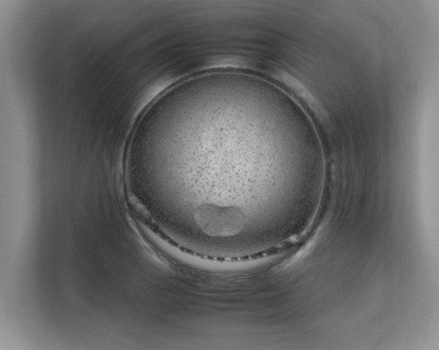 X0000111681129200907241227