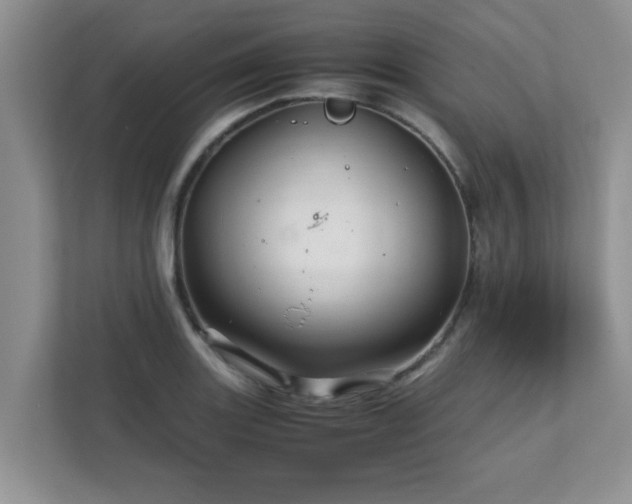 X0000111681131200907241227