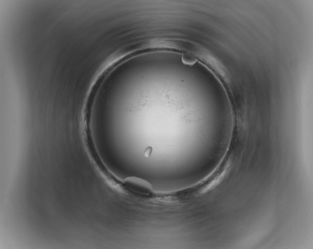 X0000111681133200907241227