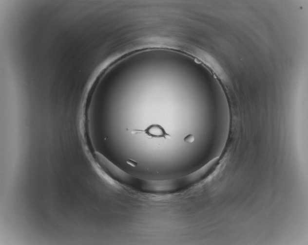 X0000111681136200907241227