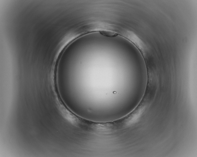 X0000111681138200907241227