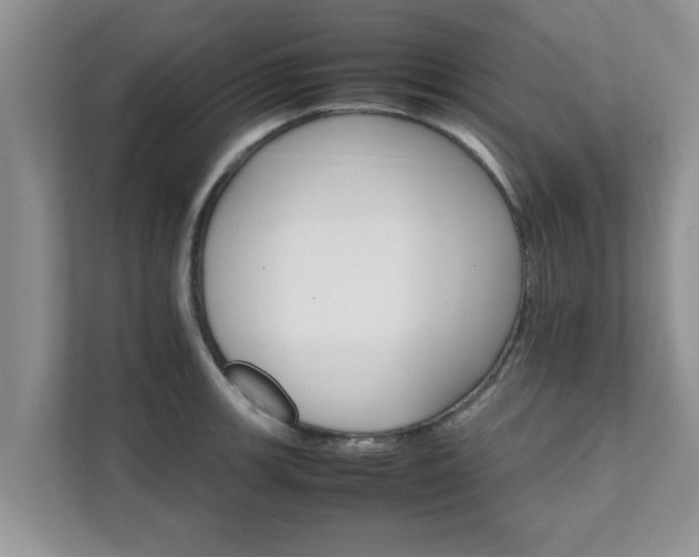 X0000111681139200907241227