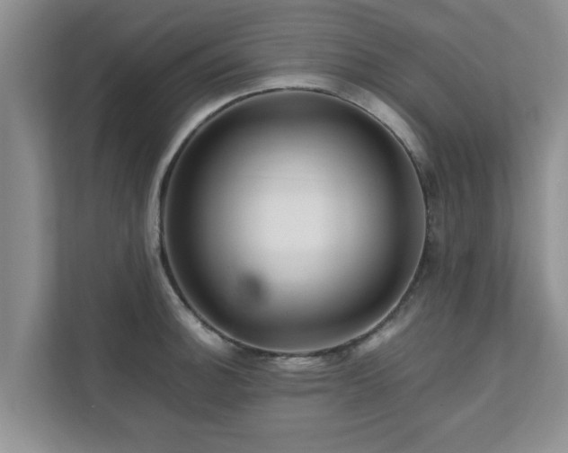 X0000111681140200907241227