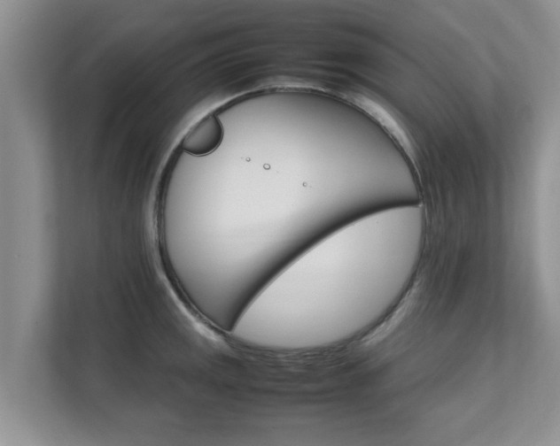 X0000111681141200907241227