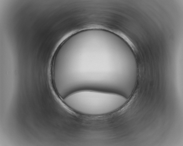 X0000111681142200907241227