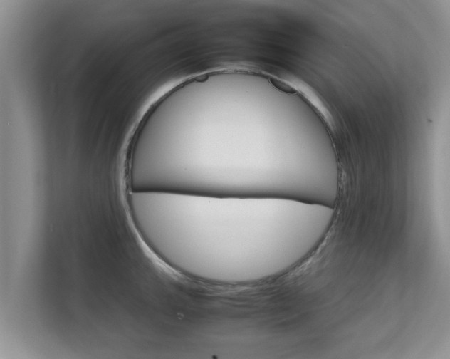 X0000111681143200907241227