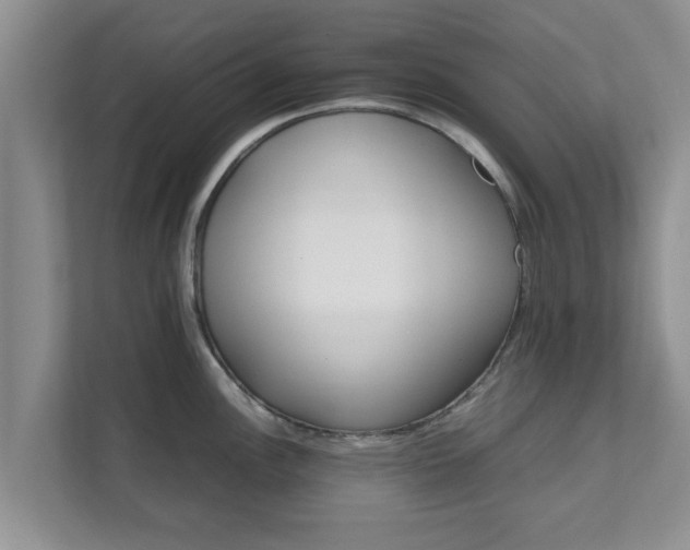 X0000111681148200907241227