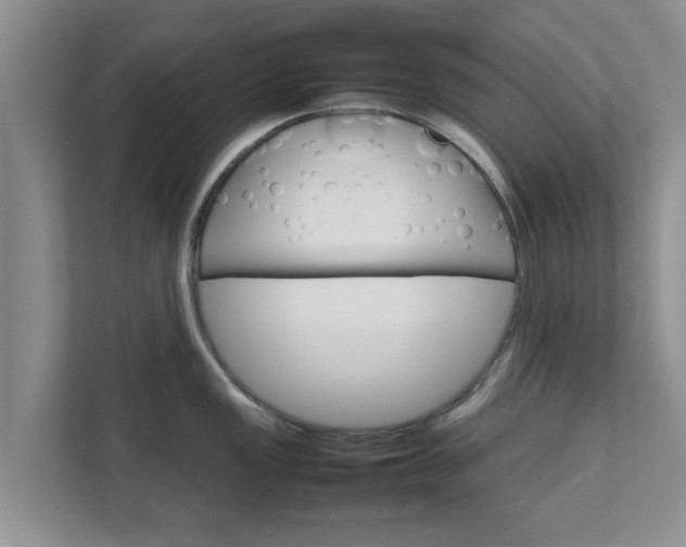 X0000111681149200907241227