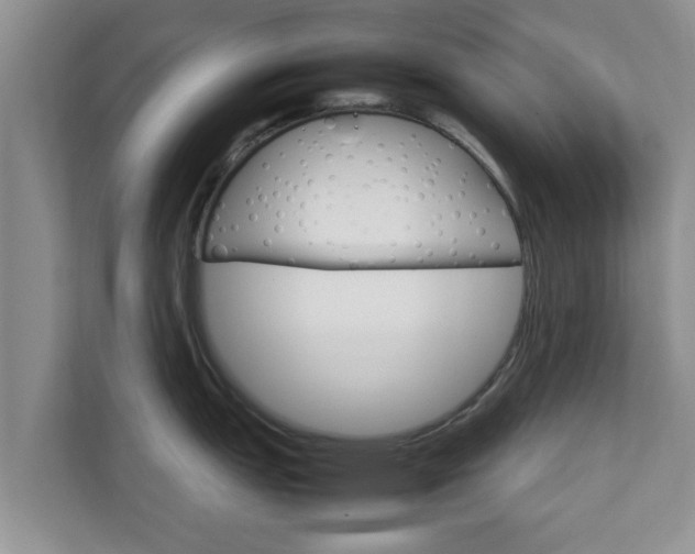 X0000111681151200907241227