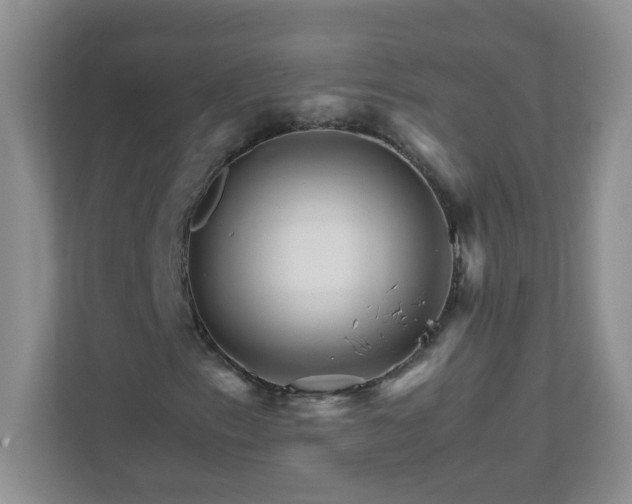 X0000111681153200907241227